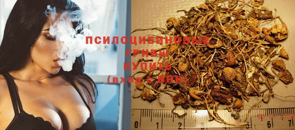 spice Белокуриха