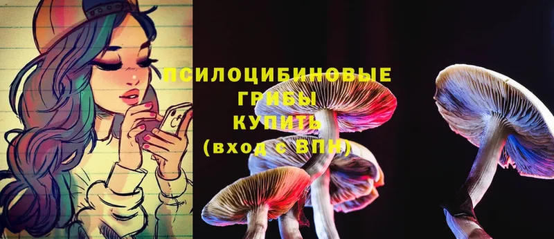 Псилоцибиновые грибы Magic Shrooms  omg   Октябрьский 